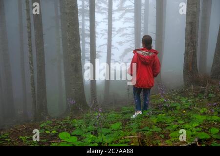 brouillard, femme et forêt d'épinette de l'est dans la région de la mer noire orientale Banque D'Images