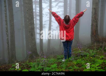 brouillard, femme et forêt d'épinette de l'est dans la région de la mer noire orientale Banque D'Images