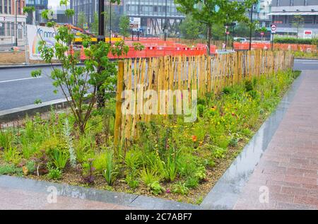 8 juillet 2020 UN lit de fleurs planté par le Conseil municipal sur Blonk Street dans le centre-ville de Sheffield, en Angleterre Banque D'Images