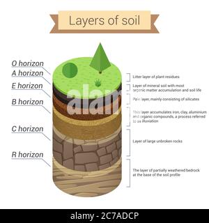 Couches de sol. Le sol est un mélange de résidus végétaux et de fines particules minérales, qui forment des couches. Diagramme vectoriel Illustration de Vecteur