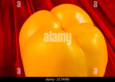 mélange coloré de la paprika rouge et jaune la plus fraîche, le poivron Banque D'Images