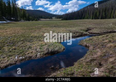 Long Meadows est une zone de l'arrière-pays du côté ouest du parc national des montagnes Rocheuses. Près de Grand Lake, Colorado. Banque D'Images