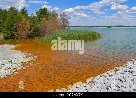 14 juillet 2020, Brandebourg, Sedlitz : des dépôts rougeâtres de l'eau souterraine fortement riche en fer peuvent être observés sur la rive du lac Sedlitz. Le trou résiduel minier en fonte ouverte de Sedlitz est limité depuis juin au nom de la Lausitzer und Mitteldeutsche Bergbau-Verwaltungsgesellschaft mbH (LMBV). Cette neutralisation initiale est effectuée avec le navire de traitement d'eau 'Klara' du LMBV, qui était déjà en service sur le lac Partwitz. La mesure devrait être réalisée d'ici la fin du mois de septembre. Environ 10,000 tonnes de chaux vive seront alors introduites dans l'eau post-minière du Banque D'Images