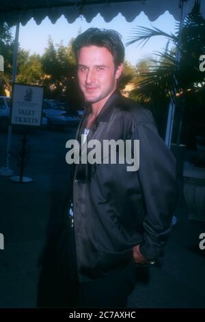 Pasadena, Californie, États-Unis 11 janvier 1996 l'acteur David Arquette participe à la tournée de presse de l'ACT d'hiver le 11 janvier 1996 à l'hôtel Ritz-Carlton de Pasadena, Californie, États-Unis. Photo par Barry King/Alay stock photo Banque D'Images