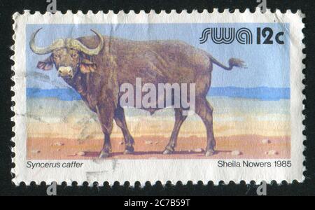 AFRIQUE DU SUD-OUEST - VERS 1985: Timbre imprimé par l'Afrique du Sud-Ouest, montre le bison africain, vers 1985 Banque D'Images