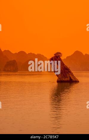 Vue en début de matinée de Hon con COC (Toad Islet) avec la brume, une île calcaire de la baie d'Halong (site du patrimoine mondial de l'UNESCO) près de Haiphong dans le nord de VI Banque D'Images