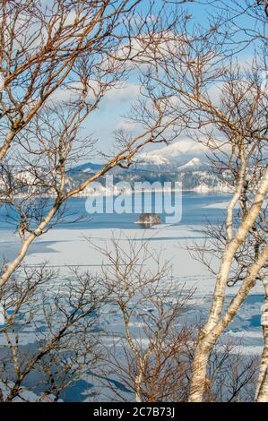 Les bouleaux sur les pentes du lac Mashu, qui est un lac caldera dans le parc national d'Akan sur l'île Hokkaido, au Japon, connu pour l'un des lacs les plus clairs Banque D'Images