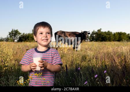 Un petit garçon dans un t-shirt rayé brillant tient et boit le lait de vache naturel contre une vache noire dans un champ. Banque D'Images