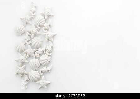 Fond marin de jour d'océan avec coquillages étoiles de mer et hippocampes. Concept blanc sur blanc Banque D'Images