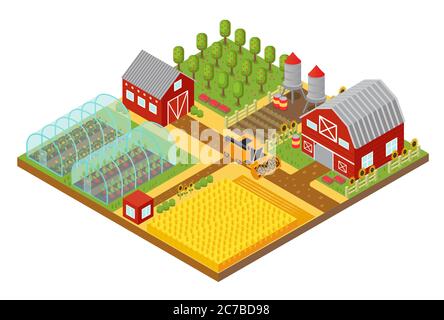 Modèle isométrique de ferme avec jardin, maison de ferme et illustration de vecteur de serre Illustration de Vecteur