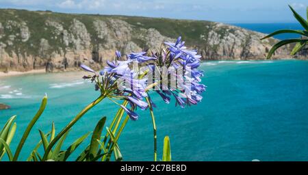 Belle journée d'été au Minack Theatre de Cornwall, en Angleterre Banque D'Images