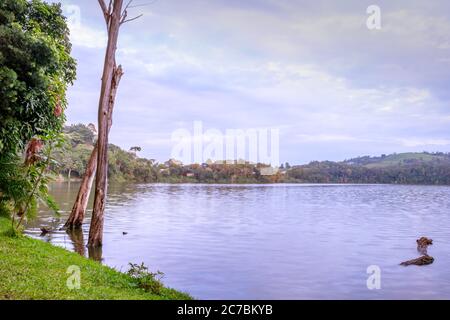 Vue au lever du soleil sur le lac Nyabikere, avec des arbres en croissance et les réflexions sur l'eau, Rweteera, fort Portal, Ouganda, Afrique Banque D'Images