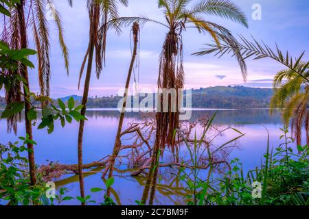 Vue au lever du soleil sur le lac Nyabikere, avec des arbres en croissance et les réflexions sur l'eau, Rweteera, fort Portal, Ouganda, Afrique Banque D'Images