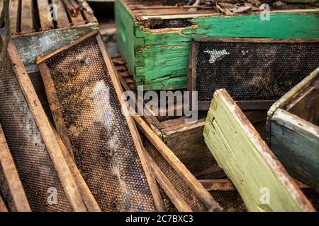 Une image en gros plan, montrant les détails d'une ruche d'apiculture abandonnée, qui est faite de bois, qui a été trouvée dans une zone boisée. Banque D'Images