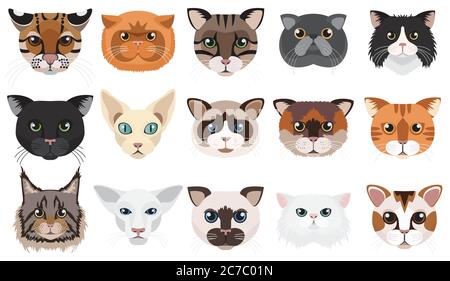 Chats têtes visages émoticônes vecteur jeu d'illustrations Illustration de Vecteur