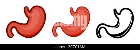 Estomac sain. Entier. Définir. Image couleur et icône monochrome. Une série d'illustrations sur les organes internes. Objet vectoriel isolé sur un coup Illustration de Vecteur
