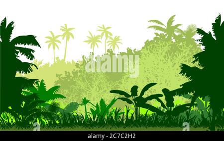 Plantes tropicales, herbes. La jungle, la savane. Vecteur. Denses épaississants de prairie. Horizon vert brumeux, herbe et arbustes. Épandage Illustration de Vecteur