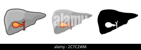 Vésicule biliaire humaine saine. Entier. Définir. Image couleur et icône monochrome. Une série d'illustrations sur les organes internes. Objet vectoriel isolé Illustration de Vecteur