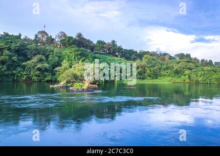 Vue sur le Nil Victoria au coucher du soleil, avec des arbres en pleine croissance et des reflets sur l'eau, Jinja, Ouganda, Afrique Banque D'Images