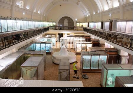 Ted Bartram de l'AP Pelosi sables le parquet de la Galerie d'Histoire naturelle du Musée Horniman à Londres alors qu'ils se préparent à rouvrir leurs portes au public le 30 juillet suivant l'assouplissement des restrictions de confinement en Angleterre. Banque D'Images