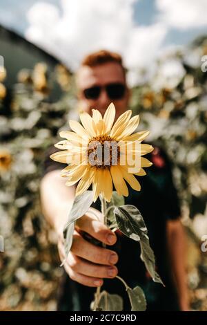 Photo verticale peu profonde d'un homme tenant un jaune tournesol Banque D'Images