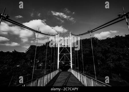 Prise de vue en niveaux de gris d'un pont suspendu avec arbres dans l'arrière-plan Banque D'Images