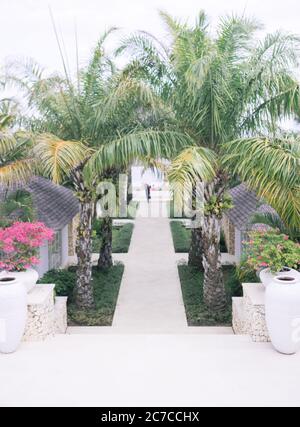 Photo verticale d'une allée de mariage entourée de palmiers et de belles fleurs dans des pots blancs Banque D'Images