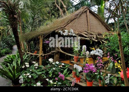 Gros plan d'une cabane en paille dans un jardin botanique, entouré de fleurs en pot colorées Banque D'Images