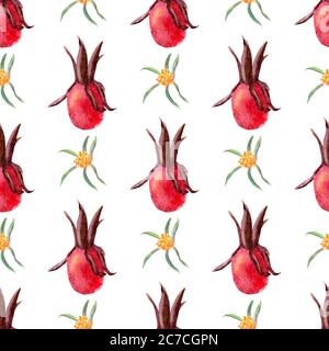 Motif sans couture. Fleurs et fruits des hanches roses Aquarelle. Illustrations de fleurs. Bouquets bohémiens de fleurs, couronnes, compositions de mariage Banque D'Images