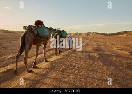 Prise de vue large de deux mâles avec deux chameaux menant le caravane dans le désert Banque D'Images