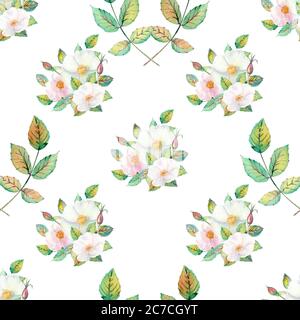 Motif sans couture. Fleurs et fruits des hanches roses Aquarelle. Illustrations de fleurs. Bouquets bohémiens de fleurs, couronnes, compositions de mariage Banque D'Images