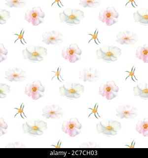 Motif sans couture. Fleurs et fruits des hanches roses Aquarelle. Illustrations de fleurs. Bouquets bohémiens de fleurs, couronnes, compositions de mariage Banque D'Images