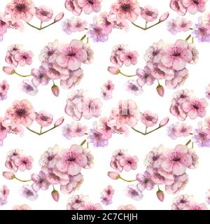 Motif sans couture. Couleur cerise. Branche Sakura avec fleurs roses sur fond blanc. Image du ressort. Illustration aquarelle. Elément de conception. Banque D'Images