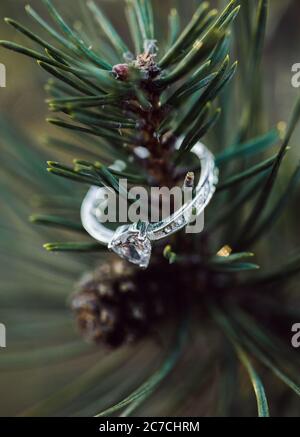 Gros plan sélectif d'une bague d'engagement sur un sapin branche arborescente avec un arrière-plan flou Banque D'Images