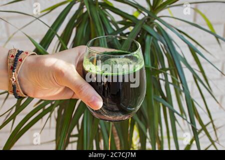 Main de femme tenant la boisson verte dans un verre. Spiruline, chlorella ou smoothie vert. Banque D'Images