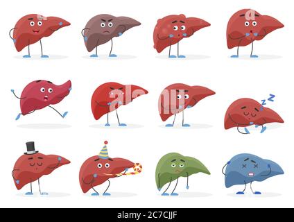 Illustration vectorielle de l'ensemble des organes d'émotions positive et négative du foie mignon Illustration de Vecteur