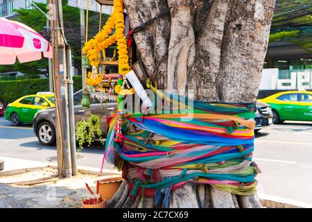 Arbre attaché avec un ruban. Arbres et rites sacrés en Asie. Banque D'Images