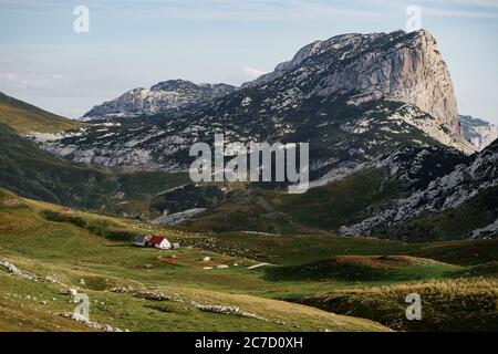 Une maison avec pâturage pour moutons sur fond de montagne rocheuse au Monténégro. Banque D'Images