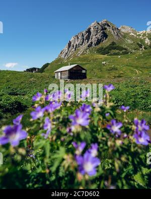 Ancienne et isolée cabine de belles montagnes des Alpes. La vieille maison a l'air un peu effrayante. L'endroit idéal pour filmer. Atmosphère de Moody Banque D'Images