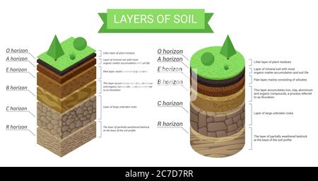 Schéma éducatif et description détaillée des couches de sol. Illustration de résidus végétaux, herbe verte, fines particules minérales, sable, argile, humus et pierres Illustration de Vecteur