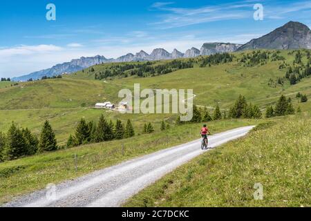 Femme active senior à cheval sur son vélo électrique de montagne en dessous des sept sommets de Churfirsten dans le canton de Saint-Gall, Suisse, paysage Banque D'Images