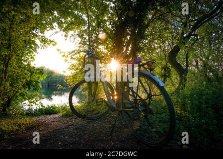 Une balade en vélo dans le parc régional de Lee Valley, à la frontière entre Essex et Hertfordshire, Angleterre, Royaume-Uni Banque D'Images