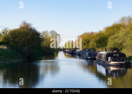 Bateaux amarrés sur la rivière Lee près de Cheshunt dans le Hertfordshire, Angleterre, Royaume-Uni Banque D'Images