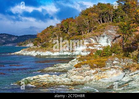 Sentier de randonnée de l'Île, Paseo de la isla, le long du fleuve Lapataia en parc national Terre de Feu, Patagonie, Argentine Banque D'Images