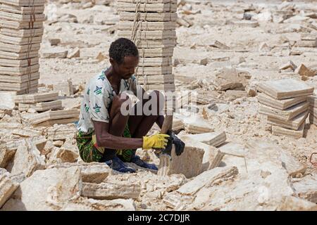 Hafar sel mineur à la mine de sel dans des blocs de broyage plat de sel / tuiles / ganfurs pour caravane de chameau, Danakil dépression, Ethiopie, Afrique Banque D'Images