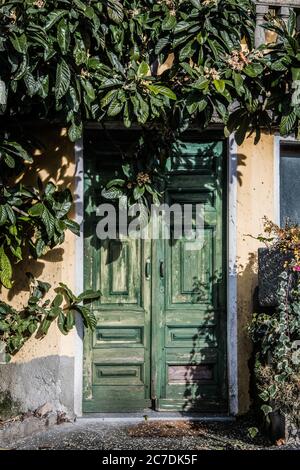 Plan vertical d'une vieille maison avec un vieux vert porte en bois Banque D'Images