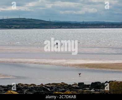 Firth of Forth, East Lothian, Écosse, Royaume-Uni, 16 juillet 2020. Météo britannique : soleil chaud le long de la côte du Forth. Deux personnes apprécient l'eau fraîche seule sur la plage sous le soleil brumeux tandis que la marée recule Banque D'Images