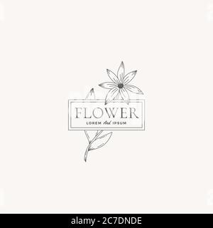 Modèle de symbole, de symbole ou de logo vectoriel floral. Illustration rétro avec typographie élégante et cadre doux. Femme de qualité supérieure Illustration de Vecteur