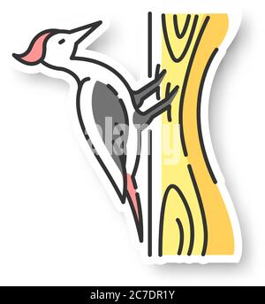 Timbre de pic. Oiseau commun, habitant de forêt, créature boisée volante. Zoologie, ornithologie autocollant imprimable couleur RVB. Packer assis sur l'arbre v Illustration de Vecteur