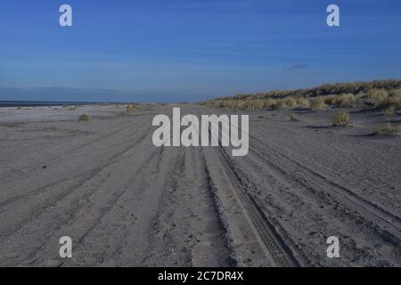 Traces de pneus de voiture sur la plage de sable au bord de la mer. Été. Banque D'Images